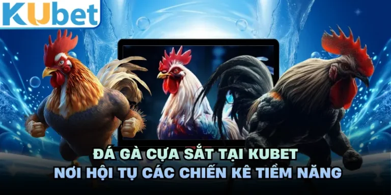 Đá Gà Cựa Sắt KUBET